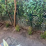 Zarina Apartamento
