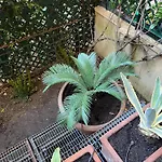 Apartamento Zarina *