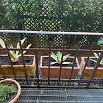 Apartamento Zarina *